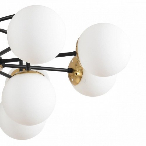 Потолочная люстра Lumion Elrona 8375/12C