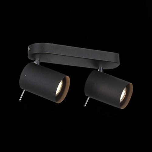 Светодиодный спот ST Luce Fanale SL597.401.02 Светодиодный спот ST Luce Fanale SL597.401.02