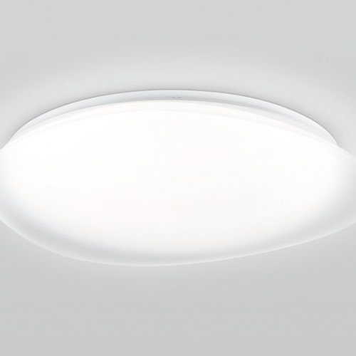 Потолочный светильник Orbital FZ1615