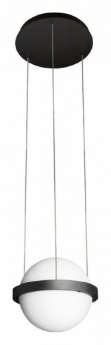 Подвесной светильник Loft IT Jardin 10121/A