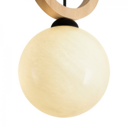 Подвесной светильник Irisa FR5593PL-01B Подвесной светильник Irisa FR5593PL-01B