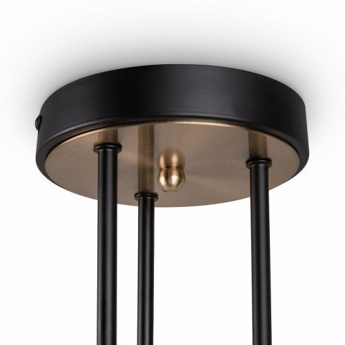 Потолочная люстра Freya Bogy FR5377CL-06B