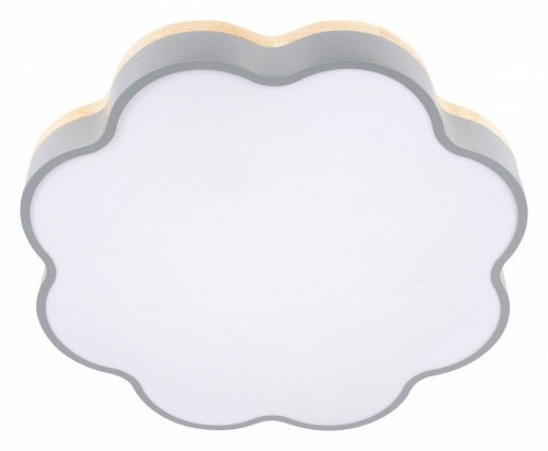 Потолочный светильник Loft IT Axel 10225/36 Grey