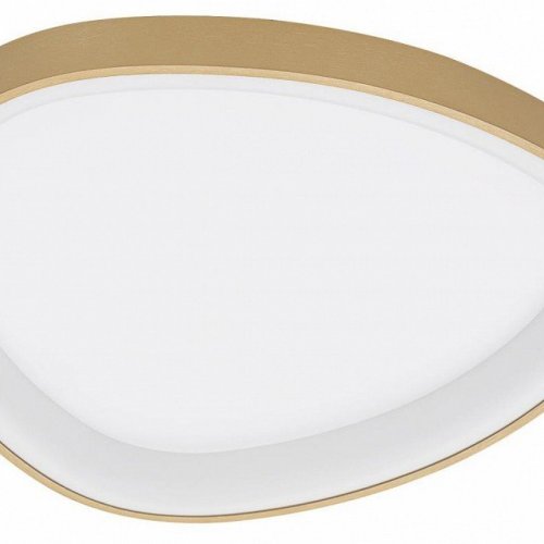 Накладной светильник Citilux GENKA SMART CL756A142