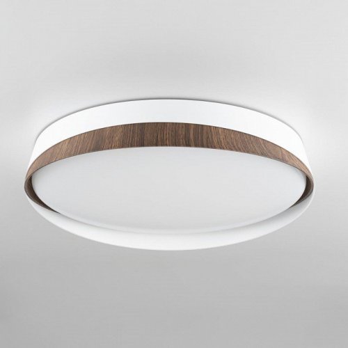 Накладной светильник Citilux BONNY CL754350G