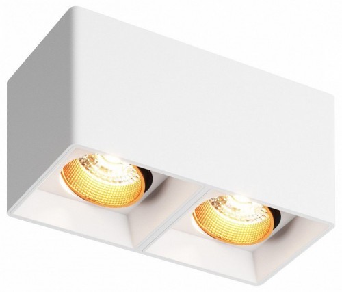 Накладной светильник Denkirs DK3085-WH+BR