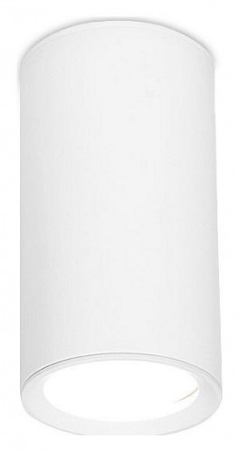 Потолочный светильник Ambrella light Techno Spot TN218 Потолочный светильник Ambrella light Techno Spot TN218