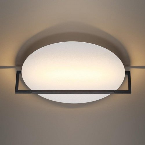 Настенно-потолочный светильник Odeon Light Next 7015/20WL