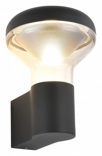 Уличный настенный светодиодный светильник ST Luce Drop SL9541.701.01