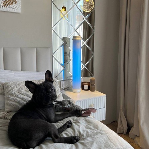 Бактерицидный светильник Uniel UDG-M UL-00007716