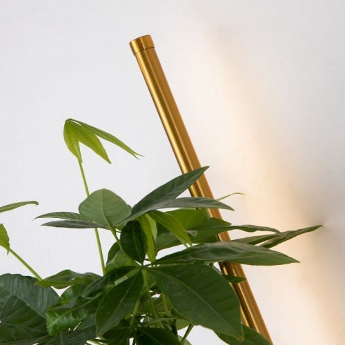 Настенный светодиодный светильник Favourite Greenery 4050-1W