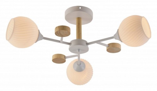 Люстра на штанге Rivoli Chiara Б0068427 Люстра на штанге Rivoli Chiara Б0068427