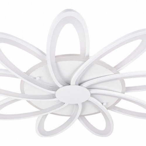 Накладной светильник Natali Kovaltseva 43729 Накладной светильник Natali Kovaltseva 43729