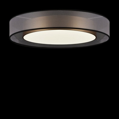 Потолочный светильник Freya Zoticus FR6005CL-L48G