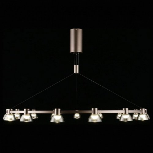 Подвесной светодиодный светильник Aployt Rezeda APL.788.03.15