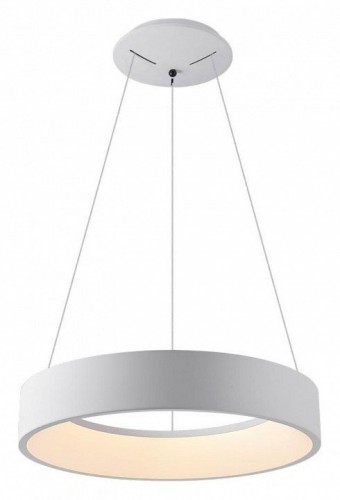 Подвесной светильник Aployt Michell APL.052.03.60