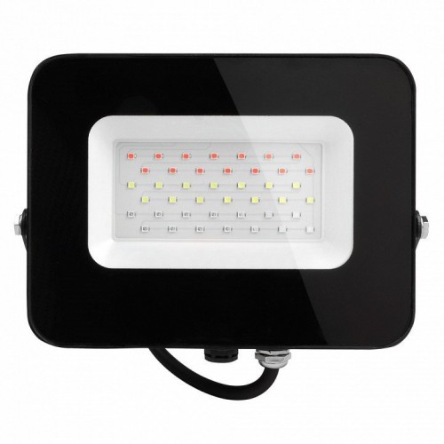 Настенно-потолочный прожектор Jazzway  PFL-30W RGB BL IP65