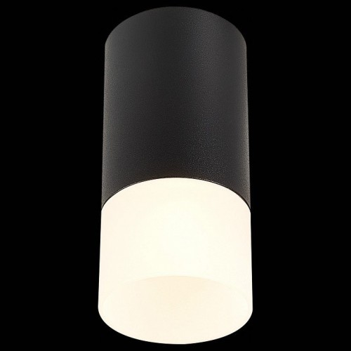 Потолочный светильник ST Luce ST100.412.01 Потолочный светильник ST Luce ST100.412.01