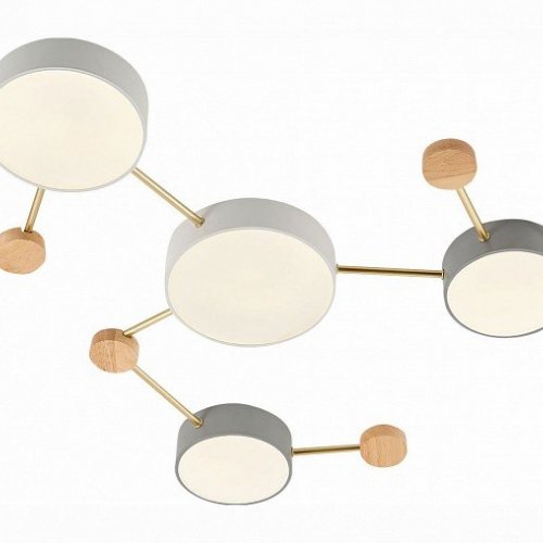 Потолочная люстра Evoluce Dossena SLE600102-06