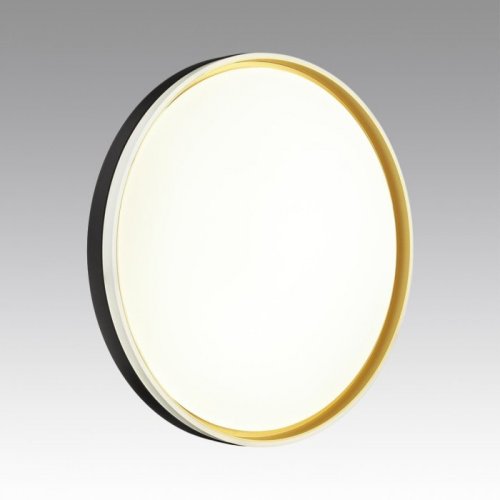 Настенно-потолочный светильник Savi 7619/ELN