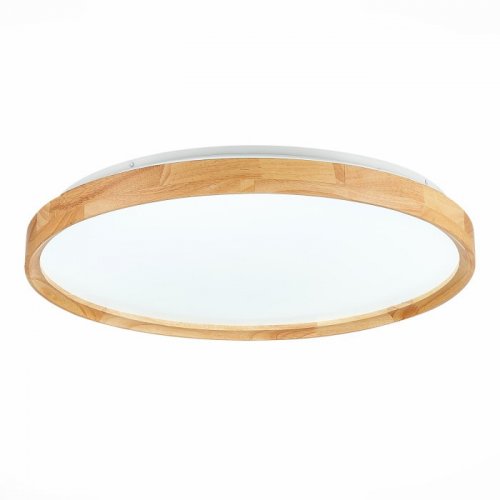 Потолочный светильник Evoluce Delia SLE201382-01