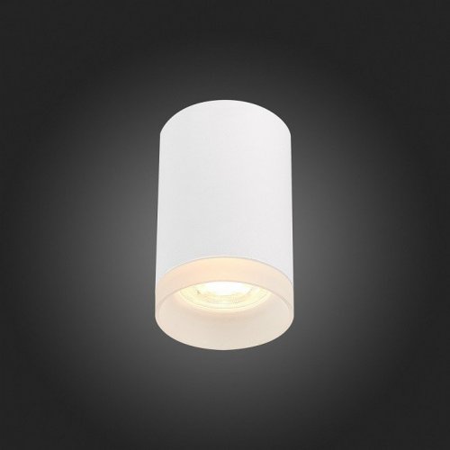 Потолочный светильник ST Luce ST100.502.01