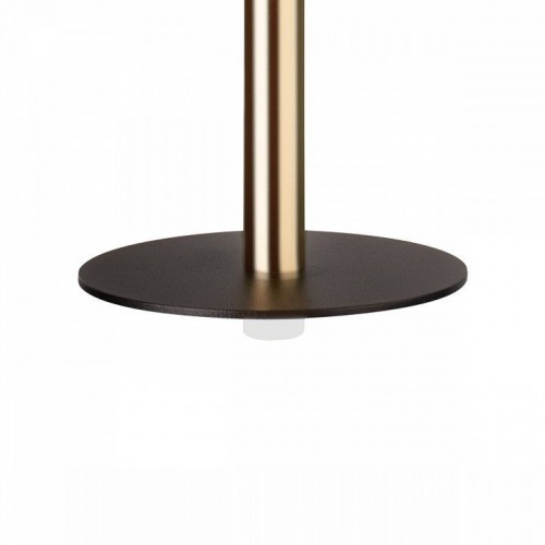 Подвесной светодиодный светильник Loft IT Reed 10358/830 Disk AB