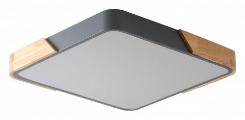 Потолочный светильник Zortes Alberro ZRS.01288.36