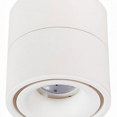 Точечный светильник ST Luce St652 ST652.532.12 Точечный светильник ST Luce St652 ST652.532.12