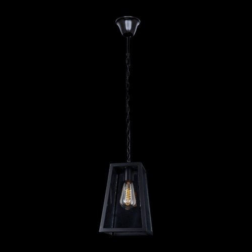 Подвесной светильник Loft IT Loft1127