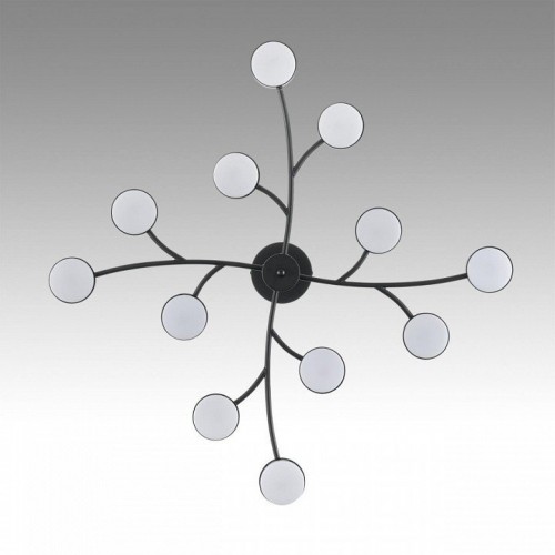 Потолочная люстра Lumion Torina 8117/12