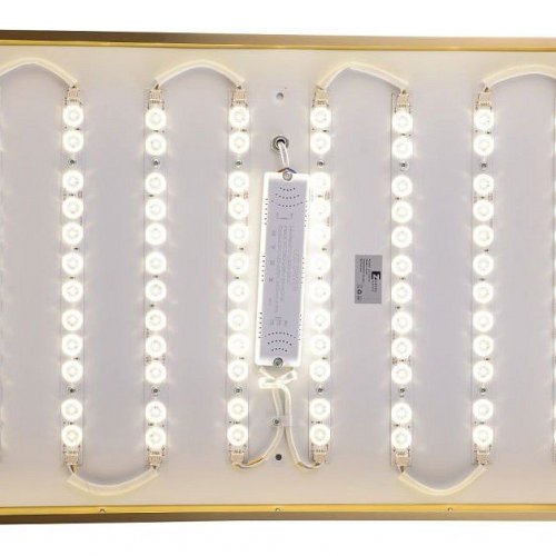 Потолочный светильник Zortes Monna ZRS.1209.09