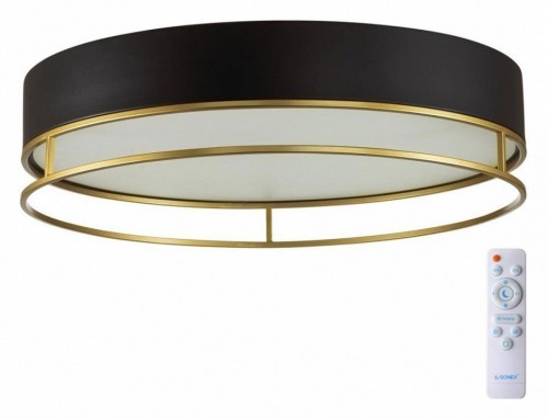 Потолочный светильник Sonex Lofty 7723/100L