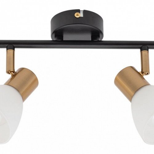 Спот Arte Lamp Falena A3117PL-2BK