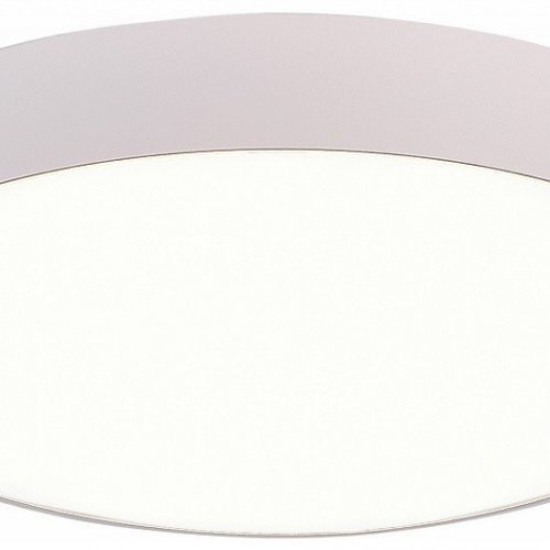 Потолочный светодиодный светильник ST Luce ST606.542.48