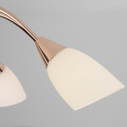 Потолочная люстра Eurosvet Ellene 30149/8