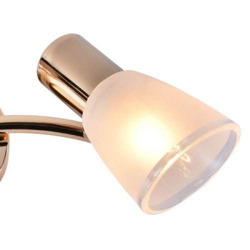 Спот  05947-0.8-02 FGD