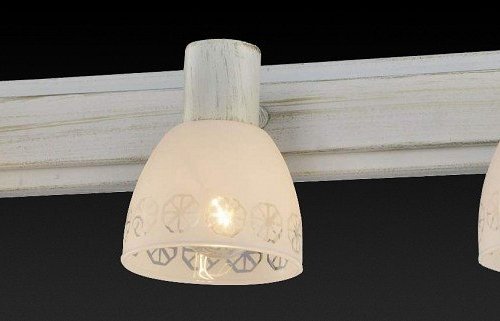 Настенно-потолочный светильник Toplight Shona TL3740Y-03WG