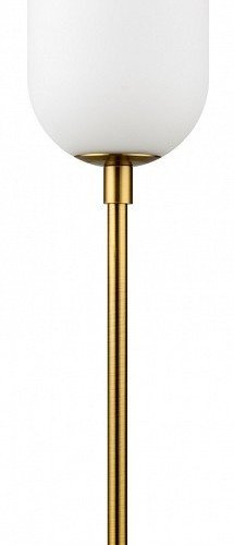 Настольная лампа декоративная Freya Sharlot FR1012TL-01BS