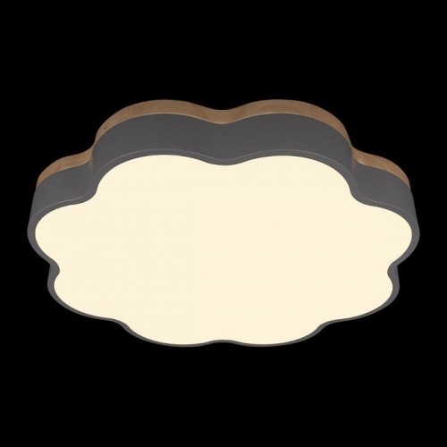 Потолочный светильник Loft IT Axel 10225/36 Grey