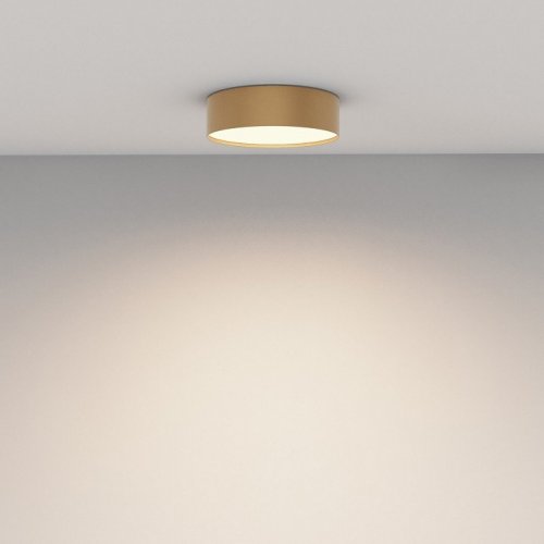 Потолочный светильник Zon C032CL-24W3K-RD-MG