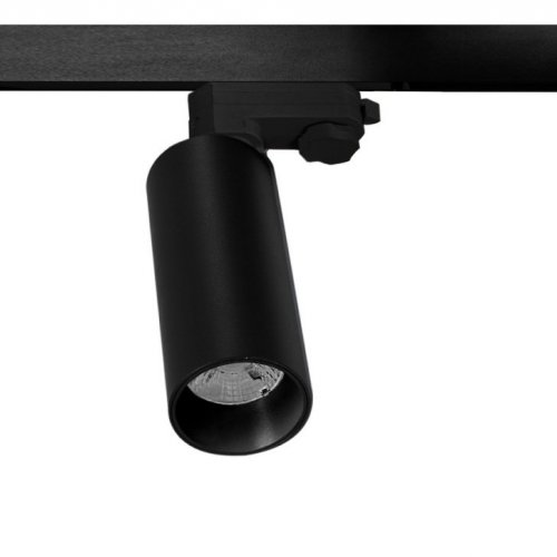 Трековый светильник Rollo DL18895R20W1B Track