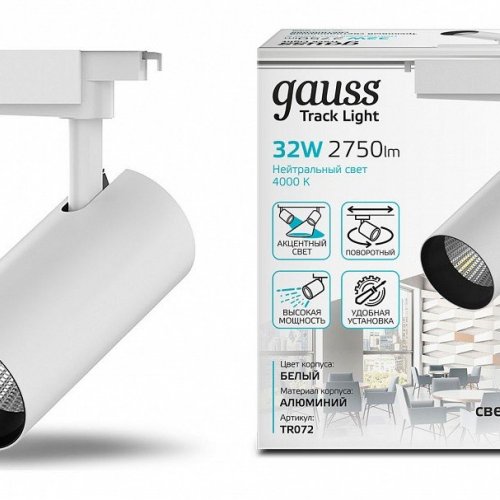 Светильник на штанге Gauss TR TR072
