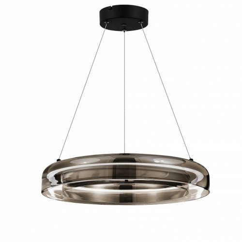 Подвесной светильник ST-Luce Foray SL6019.333.01 Подвесной светильник ST-Luce Foray SL6019.333.01