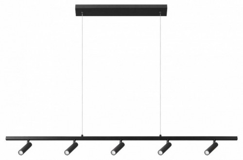 Подвесной светильник Loft IT Sign 10260/5 Black