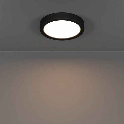 Настенно-потолочный светильник Fueva 6 901324