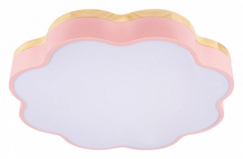 Потолочный светильник Loft IT Axel 10225/36 Pink