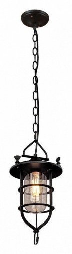 Подвесной светильник Loft IT Loft1141