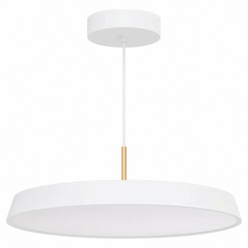 Подвесной светильник Arlight ELEGANT 033924(1) Подвесной светильник Arlight ELEGANT 033924(1)