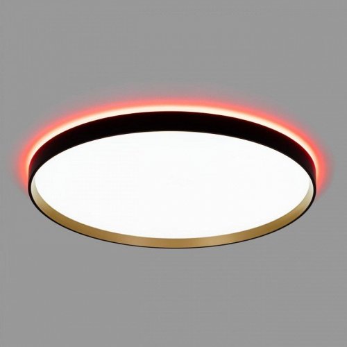 Накладной светильник Citilux ETALON CL750501R Накладной светильник Citilux ETALON CL750501R